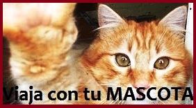 Viaja con tu mascota: Casas y alojamientos rurales habilitados para ir con tus mascotas